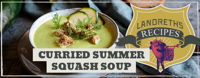 Curried Summer Squash Soup Recipe